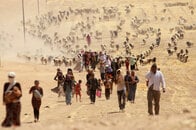 ISISの「奴隷」にされた少女が、避難先のドイツで元戦闘員と悪夢の再会