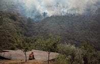 災害のあと、私たちはどう生きるのか──ポルトガル山火事が問いかけること【写真特集】