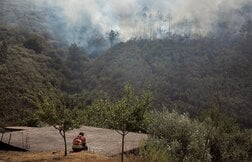 災害のあと、私たちはどう生きるのか──ポルトガル山火事が問いかけること【写真特集】