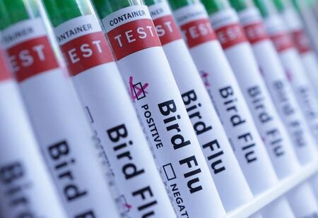 １月２７日、 英保健安全保障局（ＵＫＨＳＡ）はイングランド中部で高病原性鳥インフルエンザ（Ｈ５Ｎ１）の感染者を確認したと発表するとともに、一般市民へのリスクは依然として「極めて低い」と付け加えた。写真は鳥インフルエンザのラベルが貼られた試験管。２０２４年６月撮影（２０２５年　ロイター/Dado Ruvic）/Illustration