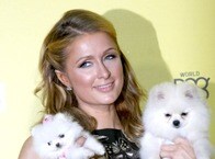 自分を守るために「おバカさんを演じていただけ」──パリス・ヒルトンの告白