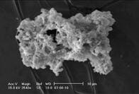 地球には年間約5200トンの地球外物質が降り注いでいる