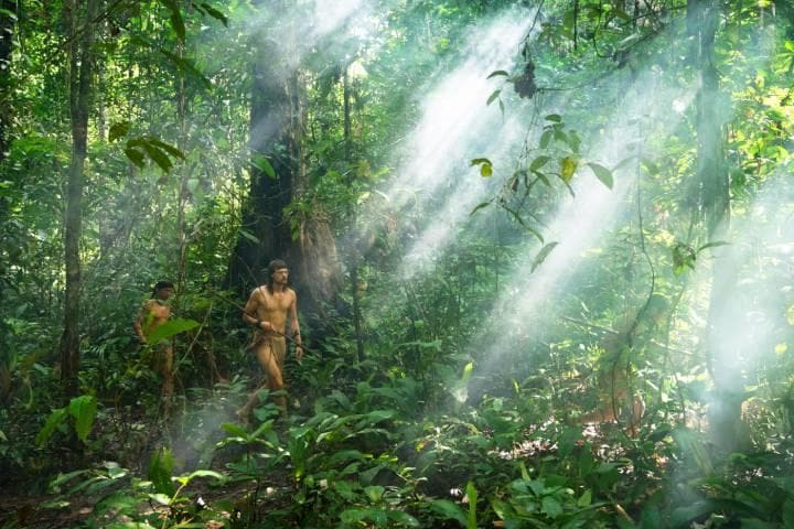 Bruno Manser - die Stimme des Regenwaldes - Szenen - ov - 11 Scene Picture © Tomas Wüthrich.jpg