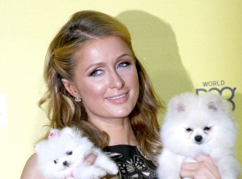 Kathy Hutchins-shutterstock