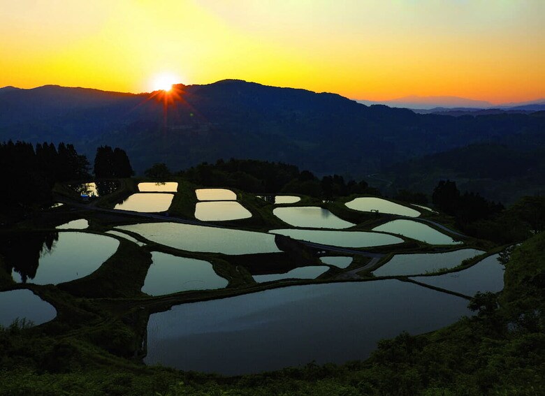テクノロジーが日本各地で地方自治の概念を変えつつある（山古志地域の棚田） AFLO