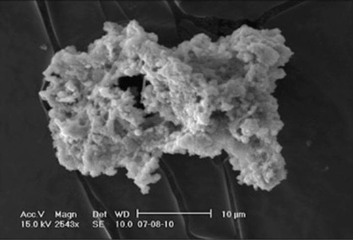 南極で採取された地球外物質　photo: Cécile Engrand/Jean Duprat