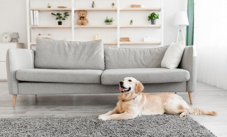 （写真はイメージです）　Prostock-Studio-iStock