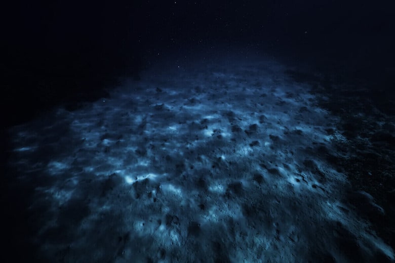 （写真はイメージです）　Kichigin-Shutterstock