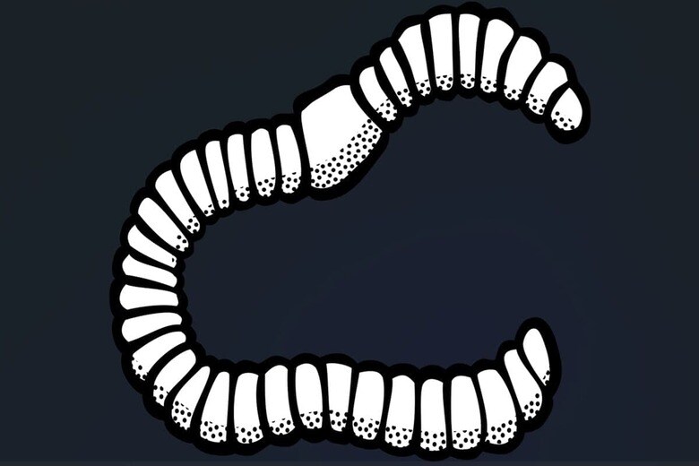 OpenClipart-Vectors/Pixabay