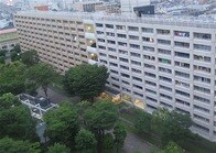 過半数が中国人の団地も！   変貌すさまじい「西川口チャイナタウン」は多文化共生を探る