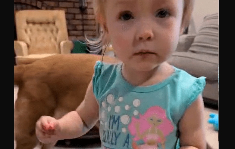 @fenderchic007 / TikTok