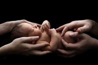 「卵子凍結し、体外受精児を産む権利を保証し、社会保険で賄うように」さもなくば少子化は止まらない