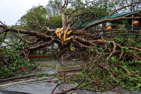 　９月２９日、台風２０号「ブアロイ」がベトナム沿岸部に上陸し、８人が死亡、１７人が行方不明となっている。ゲアン省で撮影（２０２５年　ロイター/Thinh Nguyen）