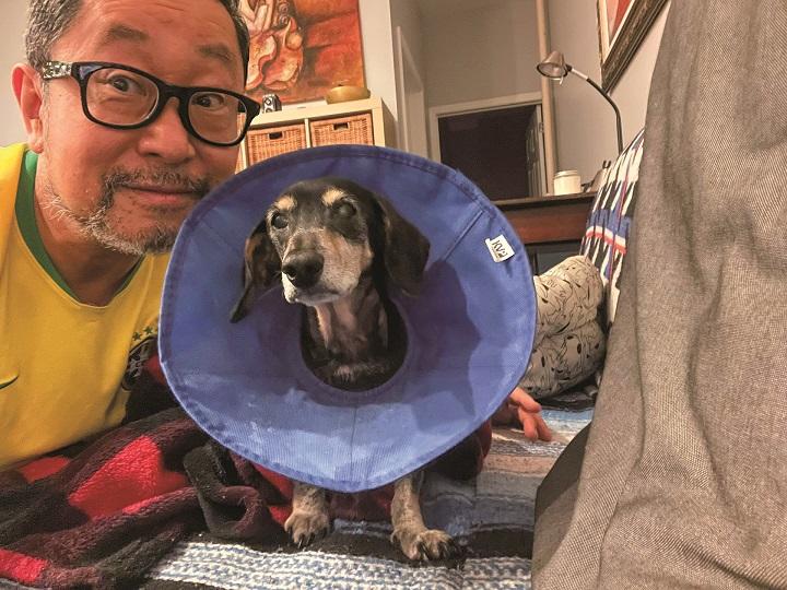 愛犬「ぴ」と新居で迎える初めての元旦　SENRI OE