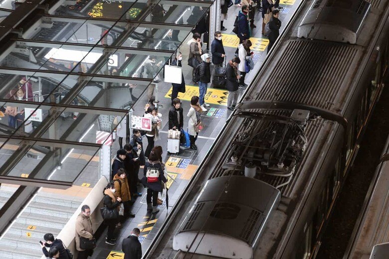 WildSnap-shutterstock