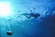 マレーシアの砂浜で、巨大な「グロブスター」を発見...強烈な悪臭を放つ「謎の肉塊」に地元は大パニック