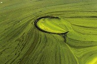 メキシコに巨大な「緑の渦」が出現、その正体は？