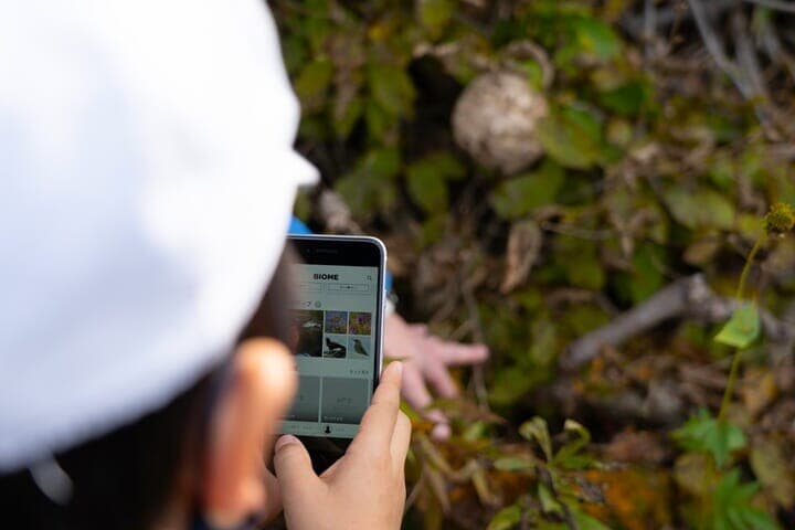 生物情報収集アプリ「Biome(バイオーム)」を使用する子供