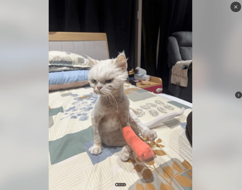 スクリーンショット (44).png