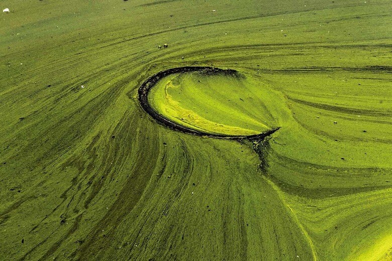 CRISTOPHER ROGEL BLANQUET/GETTY IMAGES