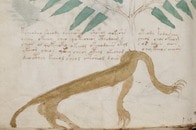 【動画】ボイニッチ手稿がついに解読された？　その内容は？