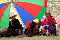 チベットの僧侶も犬も大処分、中国の文化的ジェノサイド