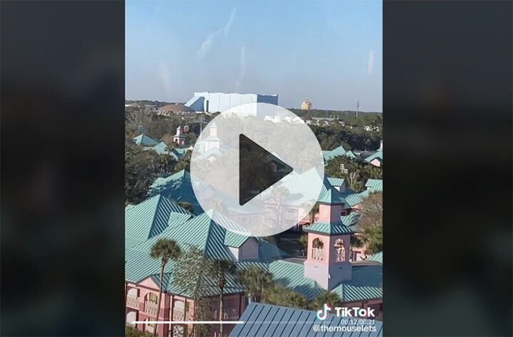 （※動画は本文中にあります）　@themouselets/TikTok