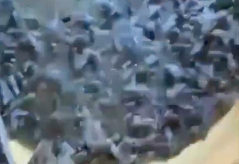 ネズミの波がオーストラリア南東部ニューサウスウェールズ州の農地や町に殺到している　twitter-@LucyThack