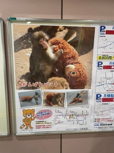市川市動植物園