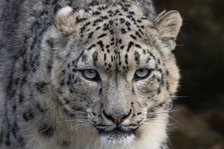 （写真はイメージです）　Adrian Dockerty-Shutterstock