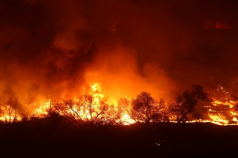 １２月１６日、米カリフォルニア州で猛威を振るう山火事「トーマス」が、同州史上３番目の大規模火災となった。７日撮影（２０１７年　ロイター/Mike Blake）