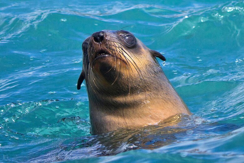 （写真はイメージです）　Alberto Carrera-iStock