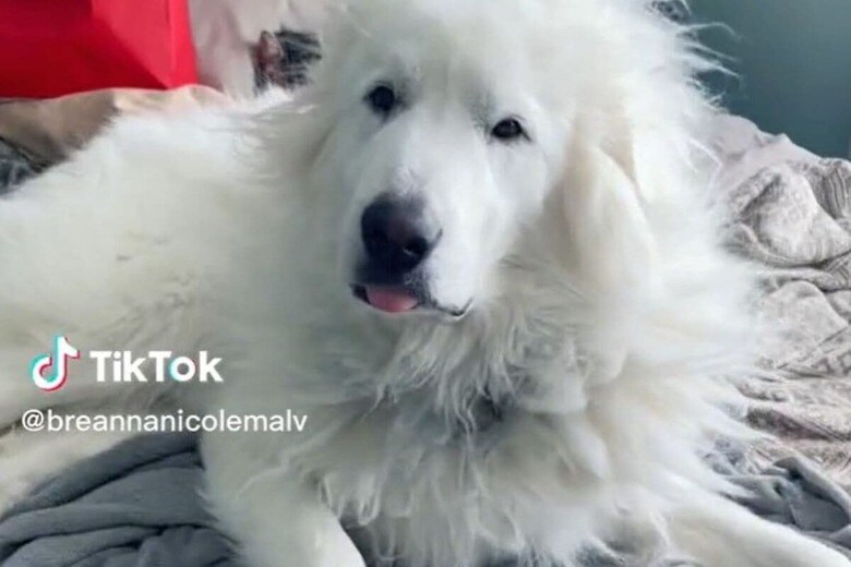 @breannanicolemalv-iStock