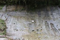 国内唯一の地質時代名「チバニアン」の成り立ちと意義