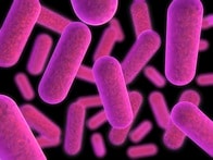 パーキンソン病と腸内細菌とのつながりが明らかに