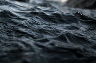 【画像】川床から発見された「エイリアンの頭」の正体に迫る...ネット騒然「重い」「光る」