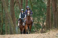 移住者人気No.1の北杜市　シャッター街と馬がいる理想郷を抜けて