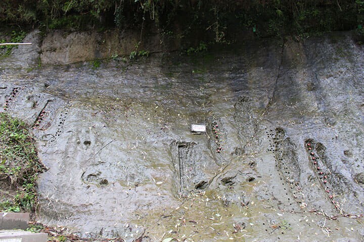 命名のきっかけとなり、ゴールデンスパイクが設置された「千葉セクション」（市原市田淵）　jkunami-iStock