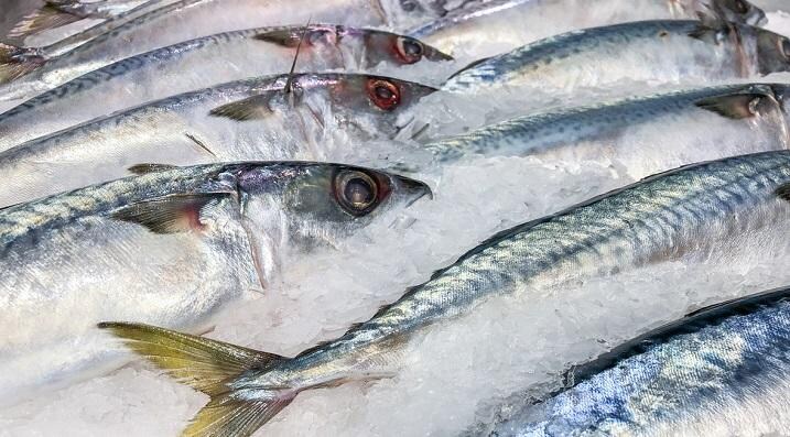 魚が手に入りにくくなることは、脳の材料が手に入りにくくなること　StockerThings-iStock.