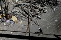 長引くイラン戦争、中銀に痛み伴う引き締め迫る可能性も＝ＩＭＦ