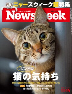 特集：猫のホントの気持ち