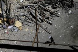 イラン戦争長期化、中銀に痛み伴う引き締め迫る可能性も＝ＩＭＦ