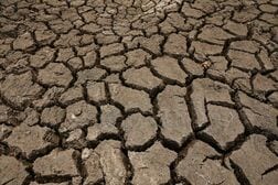 「スーパーエルニーニョ」で最大45万人死亡、猛暑44％増も＝研究