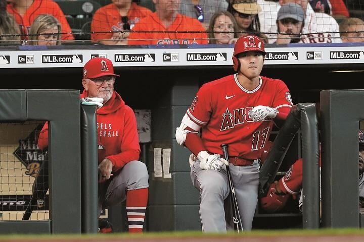 全幅の信頼　選手の自主性を尊重するのがマドン流だ（今年9月の対アストロズ戦で味方の攻撃を見守る監督と大谷）　TIM WARNER/GETTY IMAGES