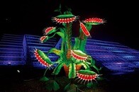 環境に配慮した「クリスマス・イルミネーション」...世界遺産の王立植物園で「光のショー」が今年も開幕