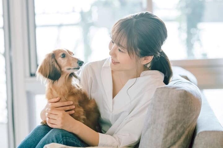 犬と女性