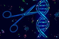 がん細胞だけ攻撃する免疫細胞をオーダーメイドで作ることに成功　ゲノム編集技術の歴史と未来