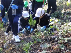 人も松も育む「マツタロウの森」とは？　「松の恵み」を未来につなぐ荒川化学工業の取り組み