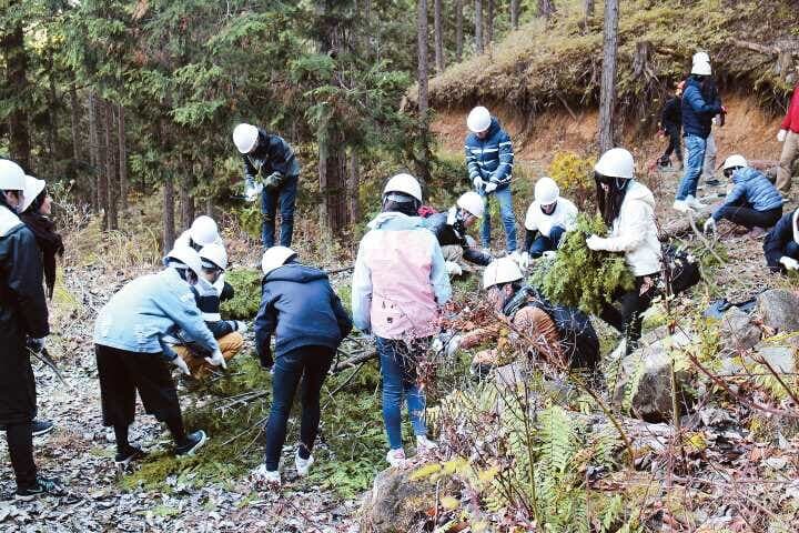 グリーンツアー