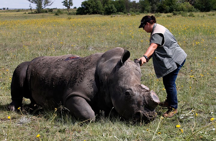 Shiphiwe Sibeko-REUTERS